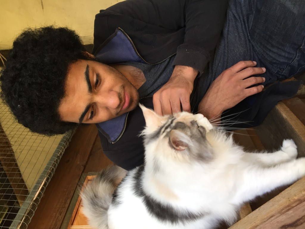 TK's a smitten kitten