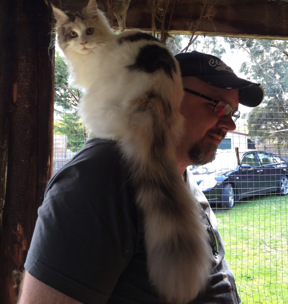 Is she a parrot or a kitten?